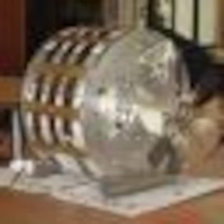 bzzt