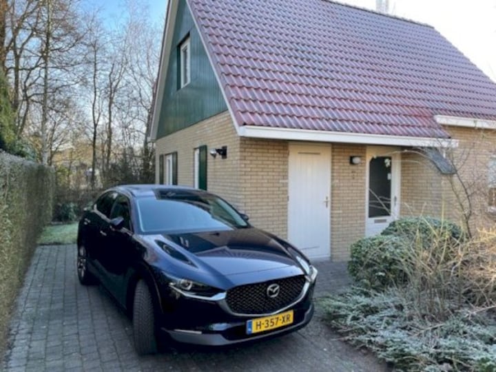 Mazda CX-30 SkyActiv-X 180 2WD Luxury (2020)