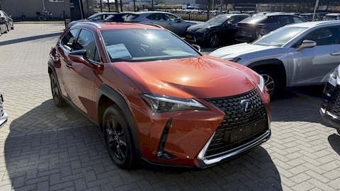 Lexus UX 250h Luxury Line (2023)