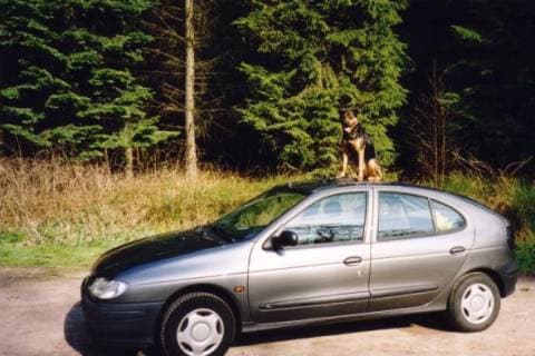 Renault Mégane RL 1.4e (1996)
