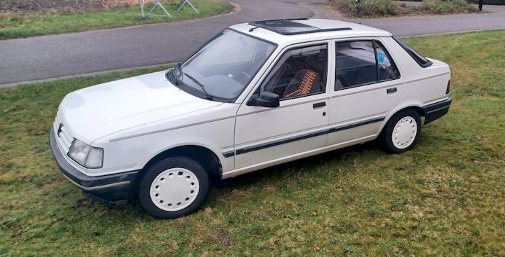 Peugeot 309 GL 1.1i (1991)