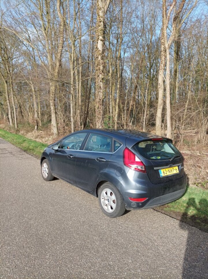 Ford Fiesta 1.4 LPG Titanium (2010)