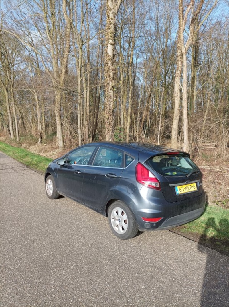 Ford Fiesta 1.4 LPG Titanium (2010)