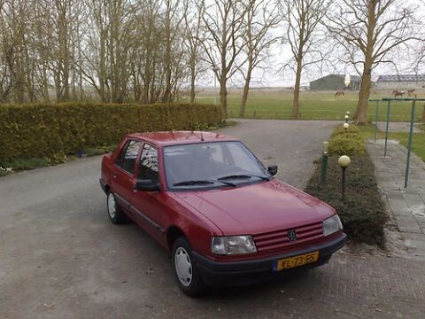 Peugeot 309 GL 1.4i Profil (1990)