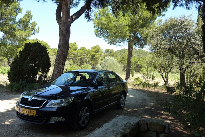 Skoda Octavia 1.8 TSI Elegance Businessline (2011)