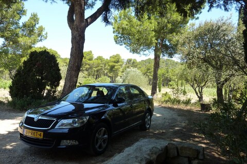 Skoda Octavia 1.8 TSI Elegance Businessline (2011)