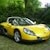 Alpinespider