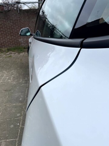 Tesla Model 3 Standard Range Plus (2021)