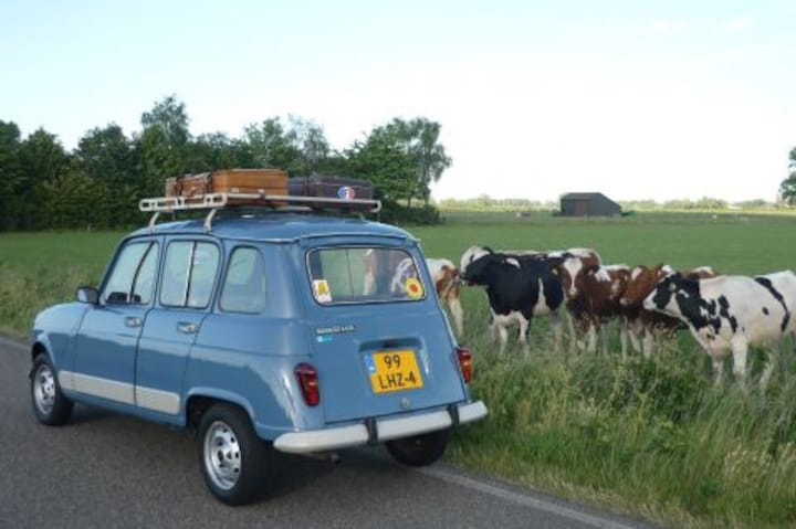 Renault 4 GTL (1985)