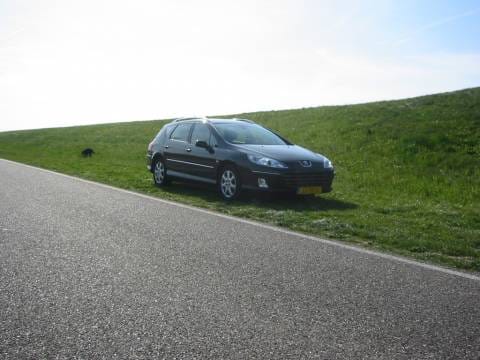 Peugeot 407 SW XR Pack 1.6 HDiF 16V (2006)