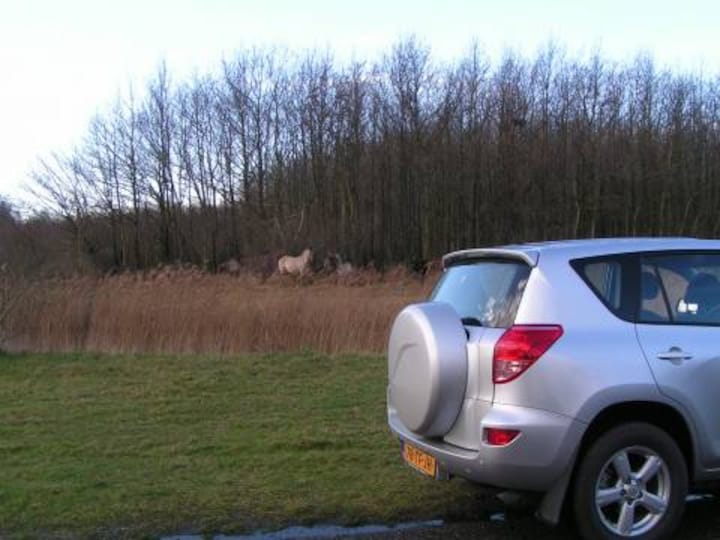 Toyota RAV4 2.0 16v VVT-i Linea Sol (2006)