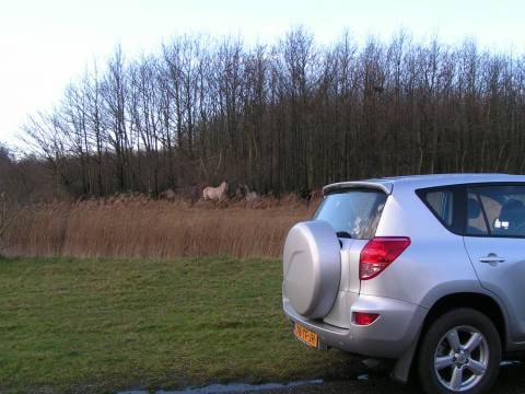 Toyota RAV4 2.0 16v VVT-i Linea Sol (2006)