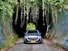 Peugeot 308 Allure Pack Business 1.2 PureTech 130 (2022)