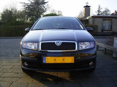Skoda Fabia 1.9 TDI Elegance (2005)