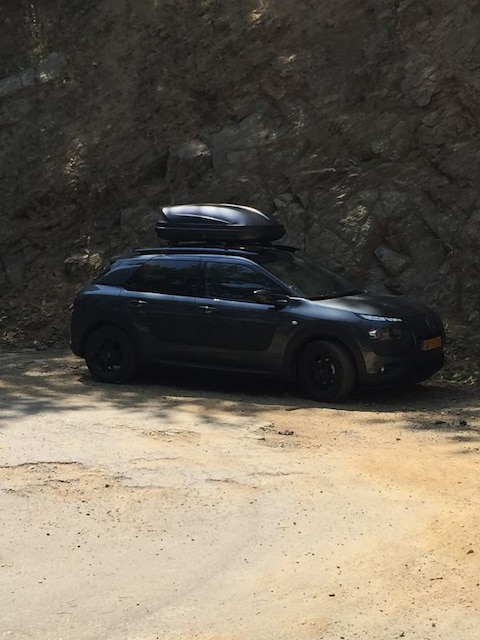 Citroën C4 Cactus PureTech 110 Business Plus (2015)