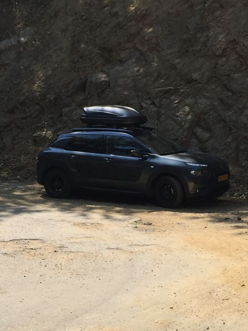 Citroën C4 Cactus PureTech 110 Business Plus (2015)