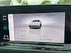 Volkswagen Golf 1.5 eTSI 150pk Style (2021)