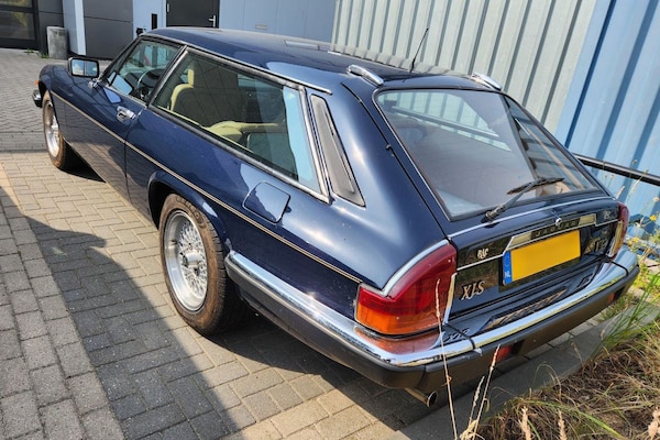 Lynx Eventer