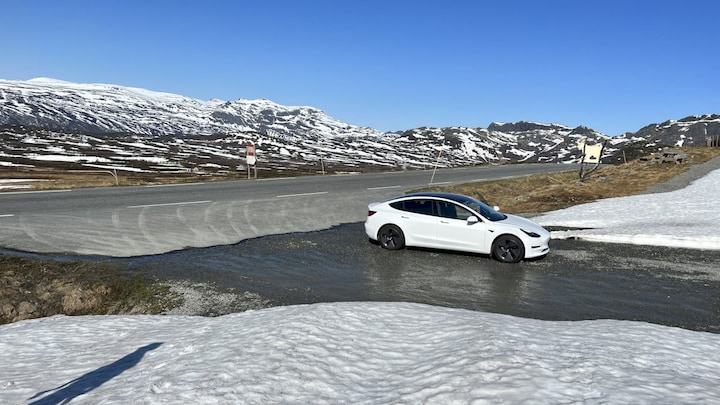 Tesla Model 3 Standard Range Plus (2021)