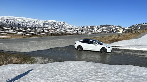 Tesla Model 3 Standard Range Plus (2021)