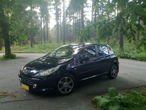 Peugeot 307 Premium 1.6 HDiF 16V 110pk (2007)