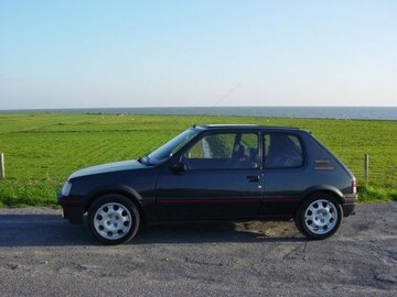Peugeot 205 GTI 1.9 (1991)