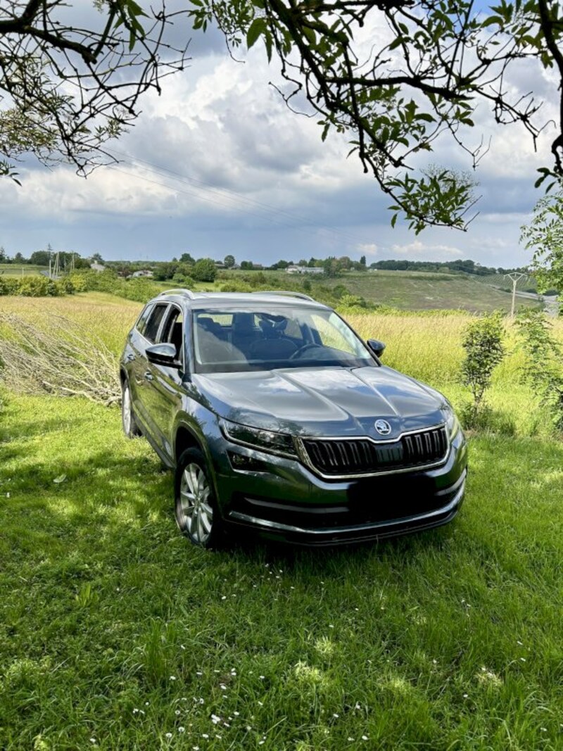 Skoda Kodiaq 1.5 TSI Greentech ACT Business Edition (2019)