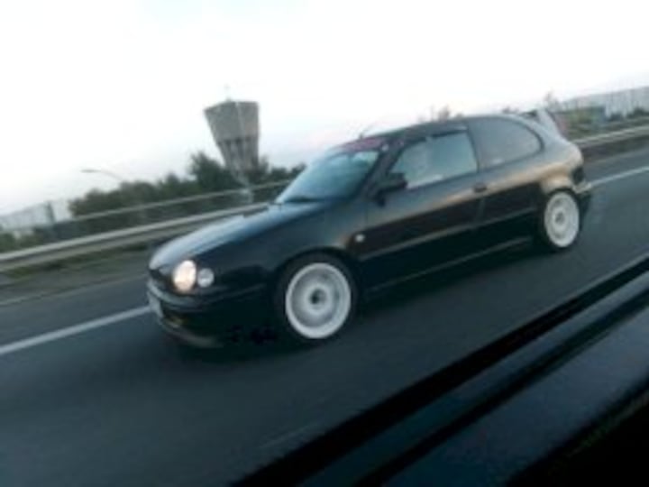 snelle willy