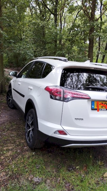 Toyota RAV4 2.5 Hybrid 2WD Style (2017)