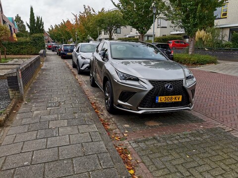 Lexus NX 300h Sport Edition