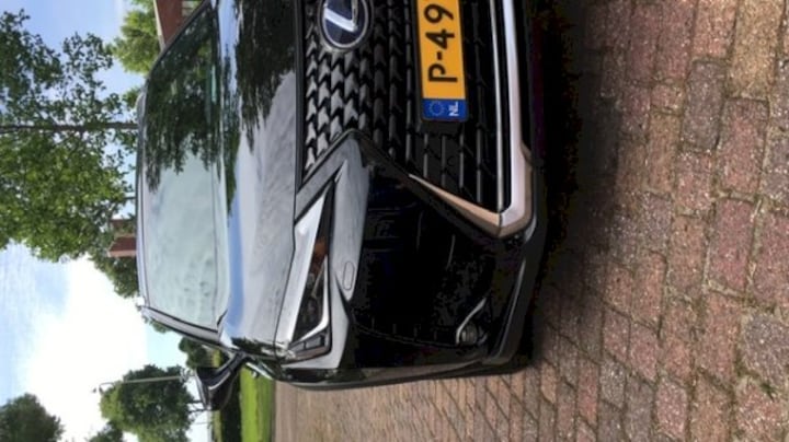 Lexus UX 250h Preference Line (2022)