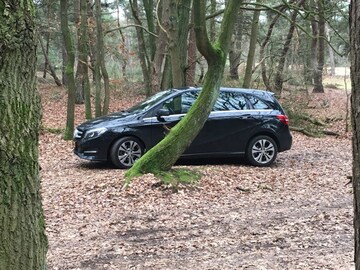 Mercedes-Benz B 180 Ambition (2017)