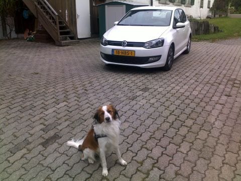 Volkswagen Polo 1.2 TDI BlueMotion Comfortline (2010)