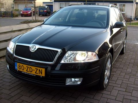 Skoda Octavia Combi 1.9 TDI Business Edition (2007)