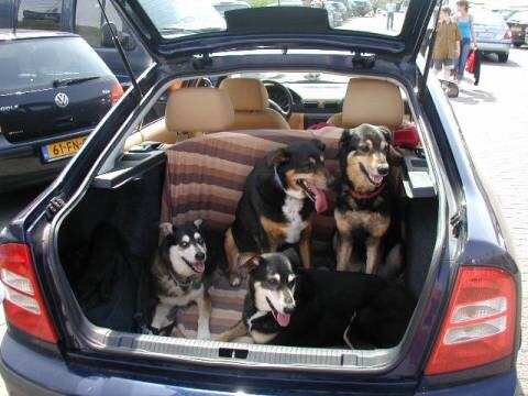 Skoda Octavia 1.6 Elegance (2002)