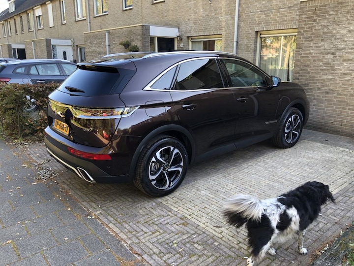 DS DS7 Crossback PureTech 180 Executive (2018)