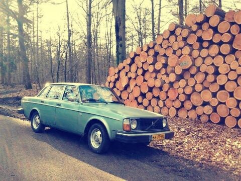 Volvo 244 DL Automatic (1978)