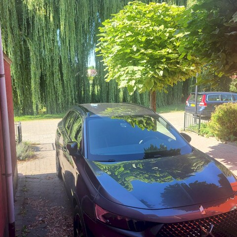 DS 7 Crossback E-Tense 300 4x4 Performance Line+