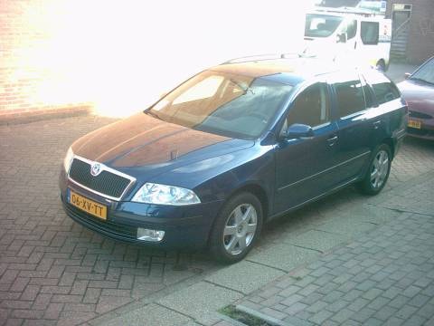 Skoda Octavia Combi 1.9 TDI Business Edition (2007)