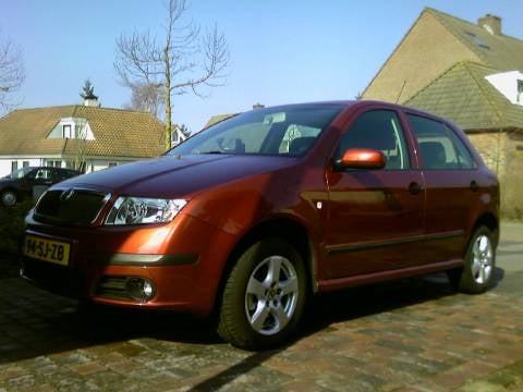 Skoda Fabia 1.4 16V 75pk Elegance (2006)