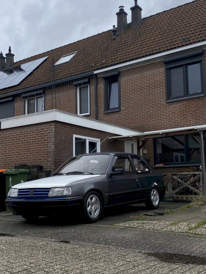 Peugeot 309 (1990)