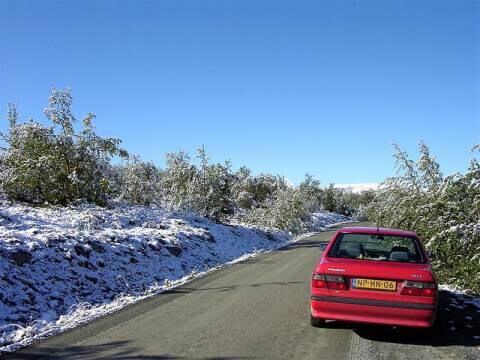 Nissan Primera 1.6 LX (1996)