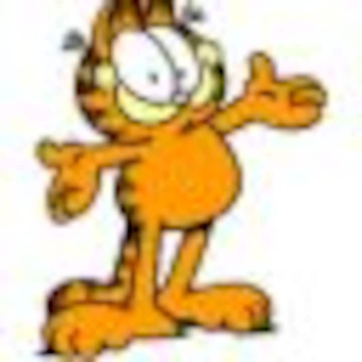 basvijn