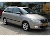 Skoda Fabia 1.2 TDI Greenline (2011)