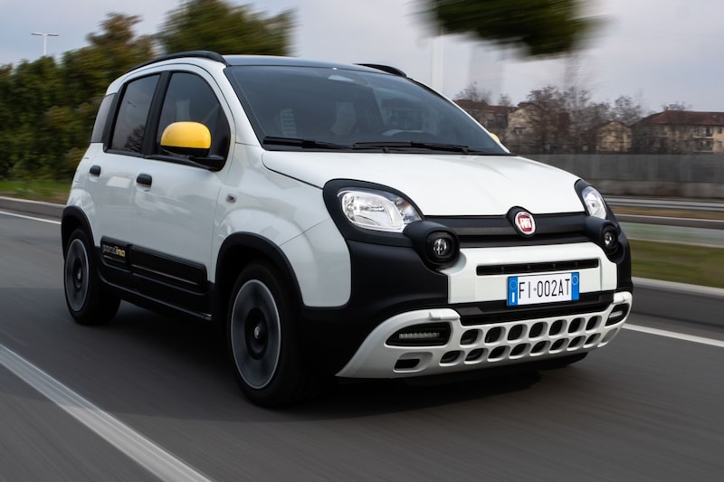 Fiat Panda en Pandina: vanaf minder dan €20.000