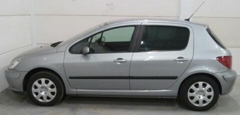 Peugeot 307 XS 1.6 16V
