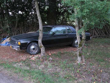 Chevrolet Caprice Coupe 5.7 Edelbrock (1979)