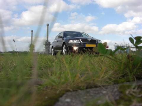 Skoda Octavia 1.9 TDI Elegance (2007)