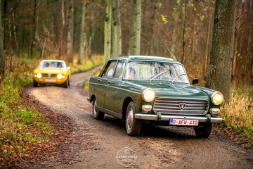 Peugeot 404 (1967)