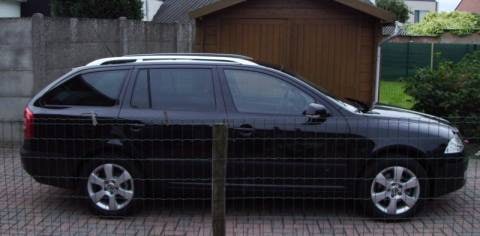 Skoda Octavia Combi 1.9 TDI Elegance (2008)